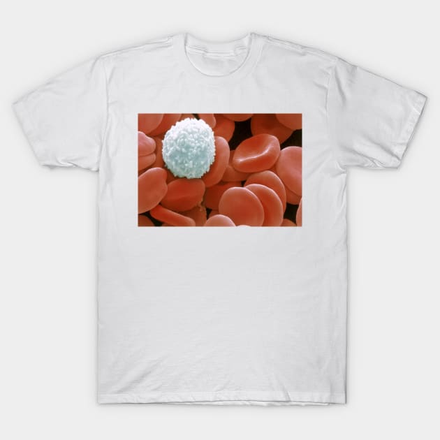 Colour SEM of red & white blood cells (P242/0218) T-Shirt by SciencePhoto